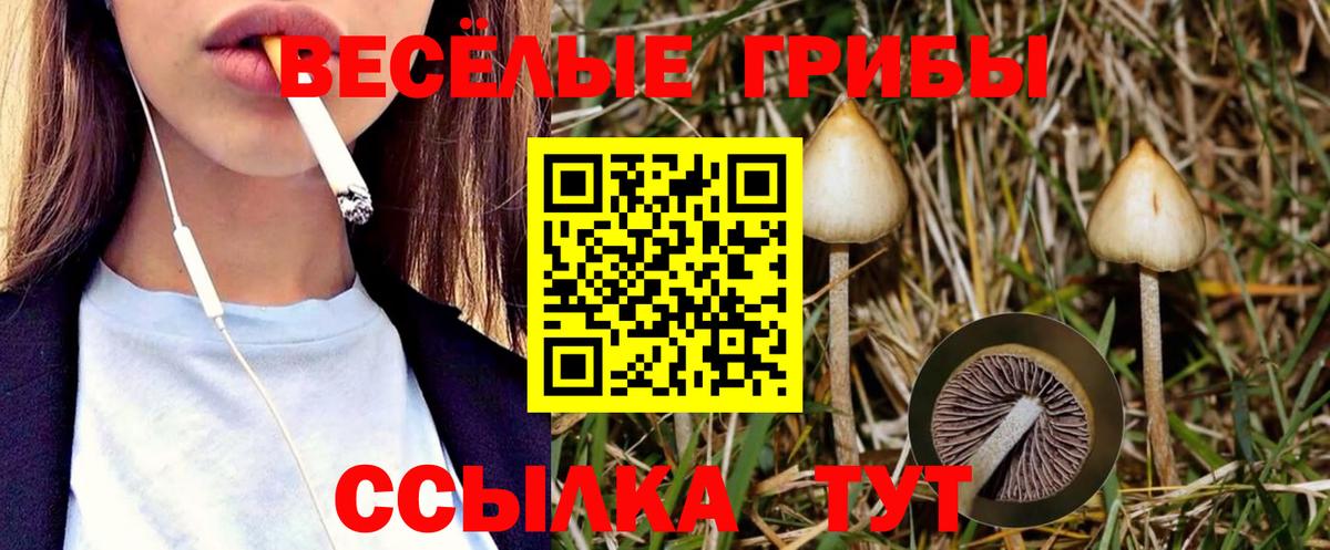 Галлюциногенные грибы ЛСД  Вход с VPN  где купить   Галлюциногенные грибы Cubensis  Рославль 